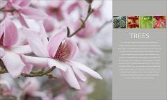 Encyclopedia of Plants and Flowers