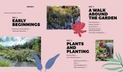 A Beautiful Obsession