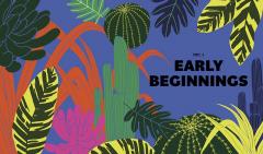 A Beautiful Obsession