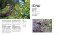 A Beautiful Obsession