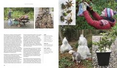 A Beautiful Obsession