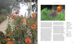 A Beautiful Obsession