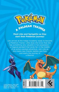 Pokemon: A Paldean Trainer