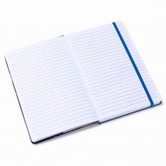 Jurnal - Women in Art - Tamara de Lempicka - Woman in blue with a guitar