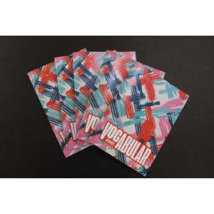 Caiet A6 vocabular - Classic - doua modele - pret pe bucata