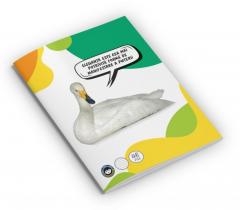 Caiet A4 matematica - Discover the Wild - mai multe modele - pret pe bucata