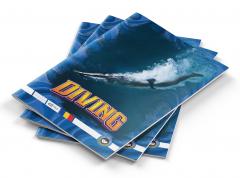 Caiet A4 matematica - Sports - mai multe modele - pret pe bucata