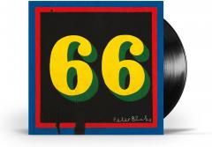 66 - Vinyl