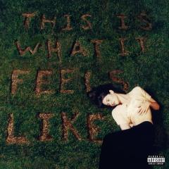 This Is What It Feels Like - Vinyl