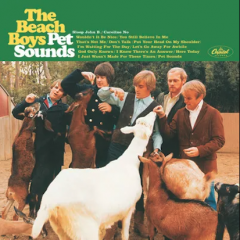 Pet Sounds - Vinyl (33 RPM)