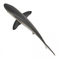 Figurina - Rechin matasos