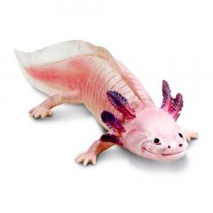 Figurina - Amfibie - Axolotl