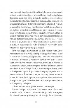 Jurnal. Ratiune si sensibilitate