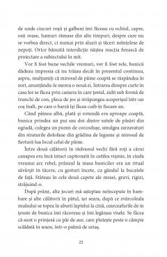 Jurnal. Ratiune si sensibilitate