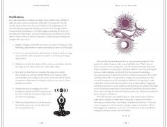 In Focus Shadow Work