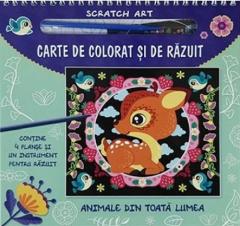 Carte de colorat si de razuit