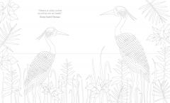 The Joy of Mindfulness Coloring