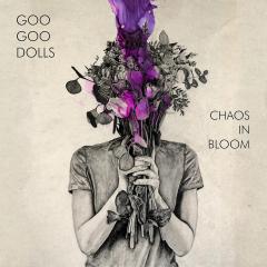 Chaos In Bloom - Vinyl