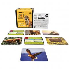 Joc - Learning Cube - Arca lui Noe