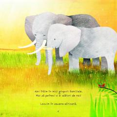 Familii din natura: micul elefant