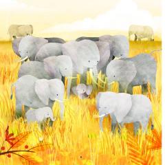 Familii din natura: micul elefant