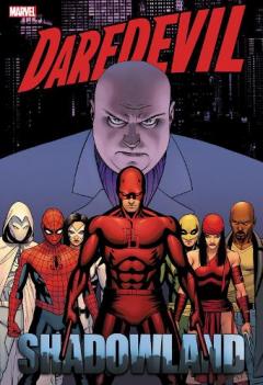Coperta cărții DAREDEVIL: SHADOWLAND OMNIBUS CASSADAY COVER [NEW PRINTING]