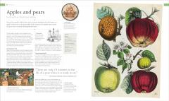 The Food Book