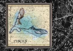 Carte postala - Sign Constellation - Pesti