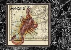 Carte postala - Sign Constellation - Scorpion