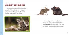 Facing Your Fear of Rats and Mice