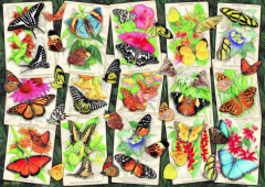 Puzzle 1000 piese - Tropical butterflies