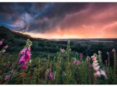 Puzzle 1000 piese - Thunder