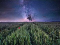 Puzzle 1500 piese - Field and Stars