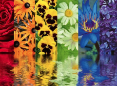 Puzzle 500 piese - Floral Reflections