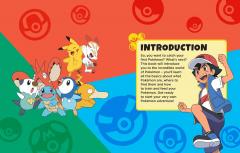 Pokemon Beginners Guide