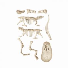 Joc educativ - Dinozauri Tiranozauri