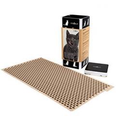 Forma pentru modelare mancare pentru pisici + cutie depozitare Cookat