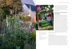 A New Cottage Garden