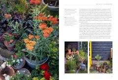 A New Cottage Garden