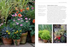 A New Cottage Garden