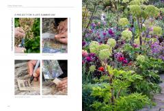 A New Cottage Garden