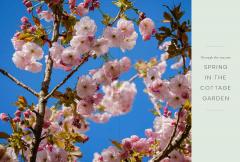 A New Cottage Garden