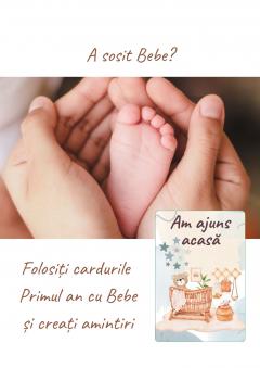 Cartonase "Primul an cu Bebe" - Unisex