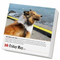 Calendar 2025 - The World's Favourite Dog - Page-A-Day