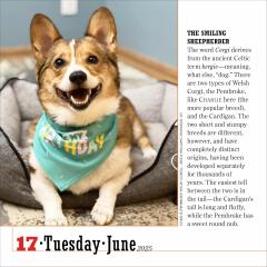 Calendar 2025 - The World's Favourite Dog - Page-A-Day