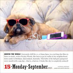 Calendar 2025 - The World's Favourite Dog - Page-A-Day