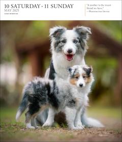 Calendar 2025 - Dog - Page-A-Day