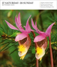 Calendar 2025 - Audubon Nature - Page-A-Day