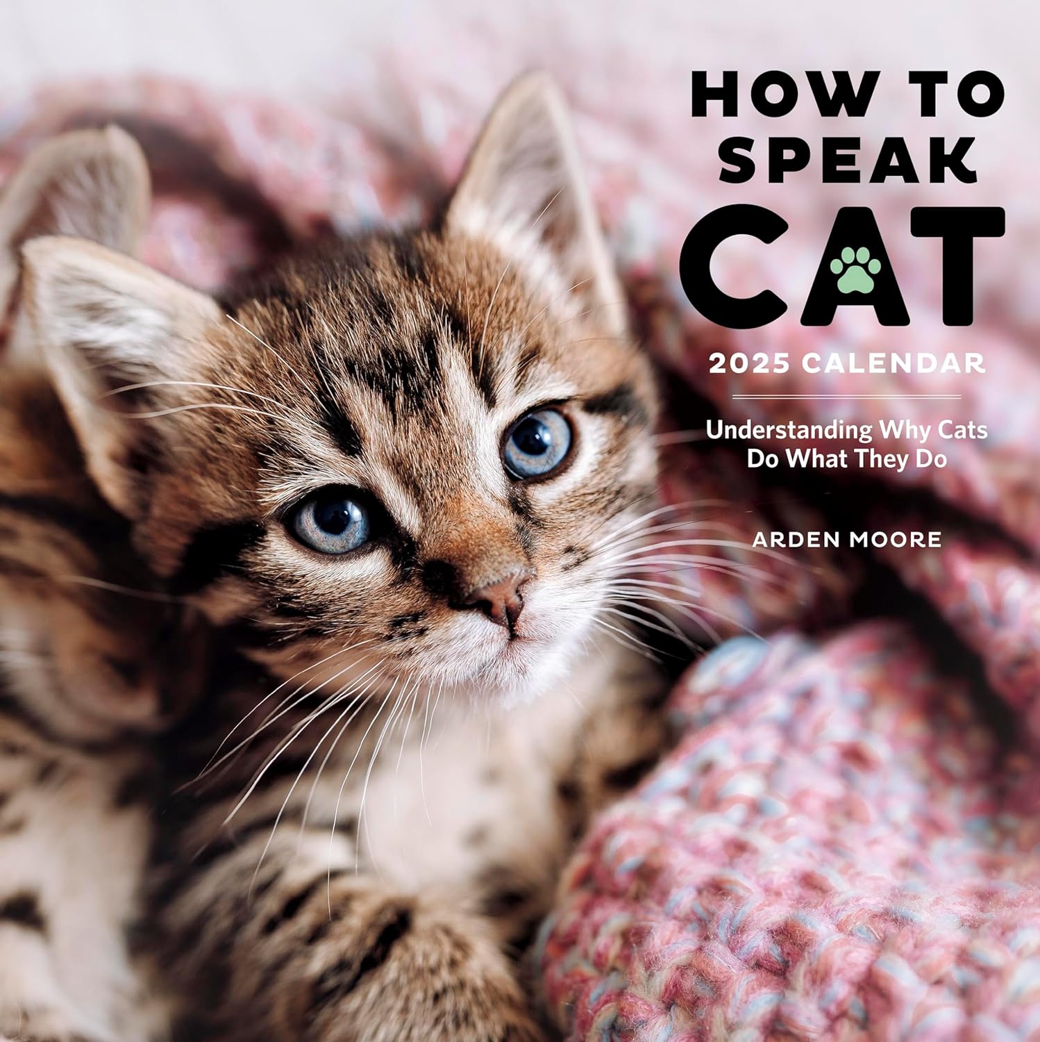 Calendar 2025 How to Speak Cat Workman Publishing