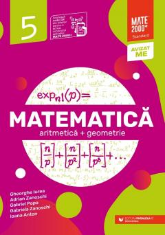 Matematica - Algebra, geometrie, Clasa - a V-a - Standard